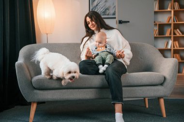 Kanepede. Yürüyen çocuğu ve sevimli beyaz köpeği olan kadın evde..