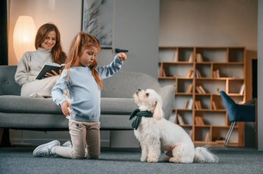 Hayvana tatlı yemek vermek. Anne ve kızı evde Malta köpeğiyle birlikte..