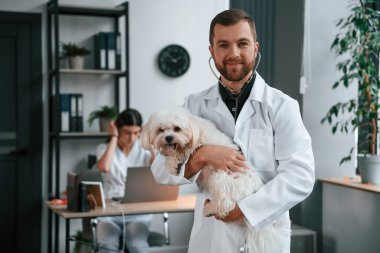 Kadın dizüstü bilgisayarın yanında oturuyor. Erkek ve kadın doktorlar klinikte Malta 'lı köpekle ilgileniyorlar..