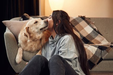 Köpeği öpmek. Kadın Golden Retriever 'la evde..
