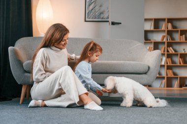 Tatlıları kız veriyor. Anne ve kızı evde Malta köpeğiyle birlikte..