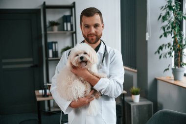 Beyaz önlüklü doktor ayakta ve Malta köpeğini elinde tutuyor. Klinikte..