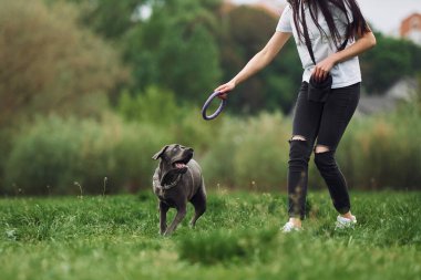 Koşmak ve oynamak. Genç esmer kız köpeğiyle dışarıda yürüyüş yapıyor..