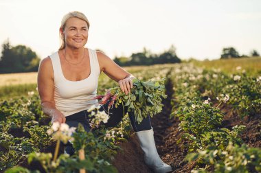 Holding beetroot in hand. Woman is on the agricultural field at daytime. clipart