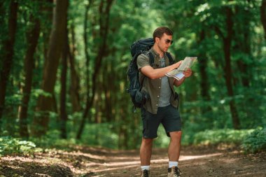 Haritayı tutuyorum. Yaz ormanında bir turist. Keşif ve eğlence kavramı.