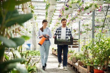 Ön manzara. Çiçekçi adam ve kadın parlak serada birlikte çalışıyorlar..