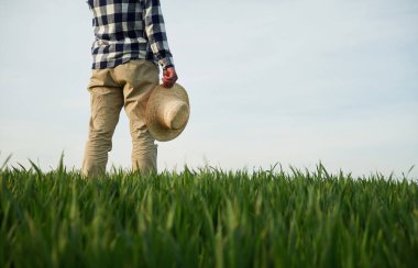 Dikiz aynası. Elinde hasır şapkayla ayakta dikiliyordu. Genç adam tarım alanında..