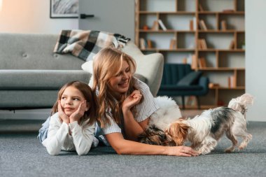 Anne kızıyla ve iki sevimli köpekle evcil odada..