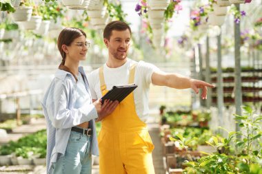 Dijital tablet kullanarak ayakta duruyor. Çiçekçi adam ve kadın parlak serada birlikte çalışıyorlar..