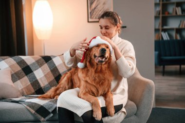 Evcil hayvana Noel Baba şapkası takmak. Şirin Golden Retriever ev sahibiyle birlikte, güzel genç bir kadın..