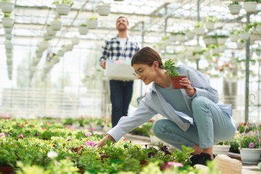 Kadın oturuyor ve bitkilerle ilgileniyor. Çiçekçi adam parlak serada çalışıyor..