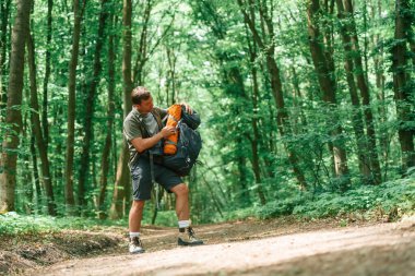 Sırt çantasını açıyorum. Yaz ormanında bir turist. Keşif ve eğlence kavramı.
