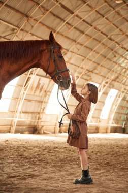 Hayvanın kafasına dokunmak. Şirin küçük kız atın içinde..