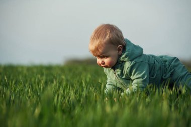 Çimlerin üstünde. Sevimli küçük erkek bebek gündüzleri tarlada..