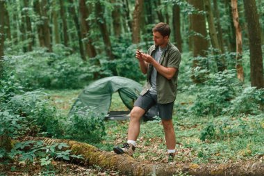 Yeşil renkli çadır arkada. Yaz ormanında bir turist. Keşif ve eğlence kavramı.
