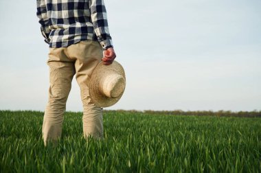 Dikiz aynası. Elinde hasır şapkayla ayakta dikiliyordu. Genç adam tarım alanında..