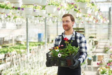 Kadehlerle, ellerinde çiçeklerle. Adam bahçe merkezinde çalışıyor. Başarılı çalışan parlak bir serada..