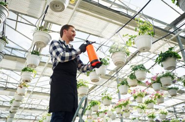 Bahçe merkezinde çalışan çiçekçi adam. Başarılı çalışan parlak bir serada..