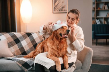 Evcil hayvana Noel Baba şapkası takmak. Şirin Golden Retriever ev sahibiyle birlikte, güzel genç bir kadın..