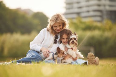 Birlikte oturuyoruz. Güzel anne ve küçük kızı ve köpekleri yaz tarlasında..