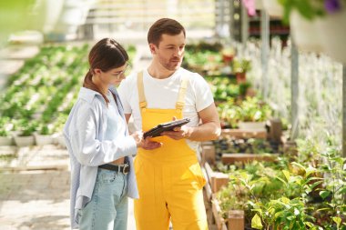 Dijital tablet kullanarak ayakta duruyor. Çiçekçi adam ve kadın parlak serada birlikte çalışıyorlar..