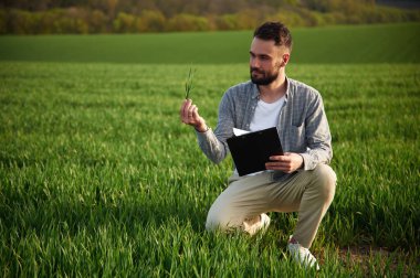 Elinde not defteriyle. Yakışıklı genç adam tarım alanında..