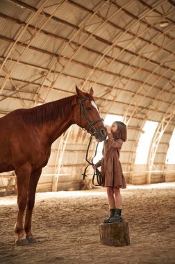Ayakta durmak, yan görüş, hayvanlara bakmak. Şirin küçük kız atın içinde..