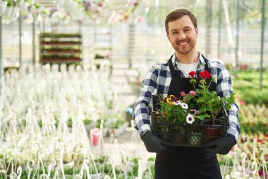 Sipariş topluyorum. Plastik kutuda. Bahçe merkezinde çalışan çiçekçi adam. Başarılı çalışan parlak bir serada..