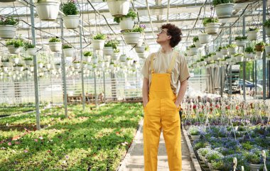 - Serada. Kıvırcık saçlı ve gözlüklü genç adam..