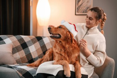 Evcil hayvana Noel Baba şapkası takmak. Şirin Golden Retriever ev sahibiyle birlikte, güzel genç bir kadın..