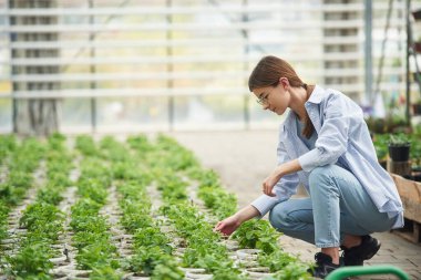 Oturmak, bitkilerle ilgilenmek. Bahçe merkezinde çalışan güzel çiçekçi kadın..