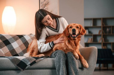 Birlikte kanepede. Şirin Golden Retriever ev sahibiyle birlikte, güzel genç bir kadın..