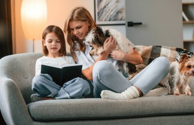 Elinde kitapla, okuyarak. Anne kızıyla ve iki sevimli köpekle evcil odada..