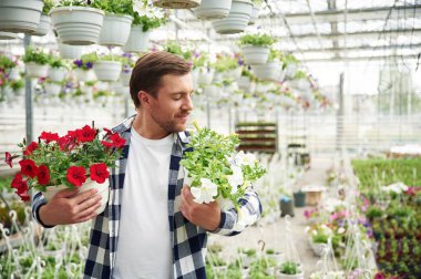 Yakışıklı sakallı çiçekçi adam bahçe merkezinde çalışıyor. Başarılı çalışan parlak bir serada..