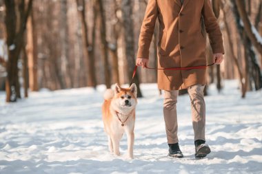 Tasmalı. Bir adam kışın parkın içinde köpeğiyle yürüyüşe çıkıyor..