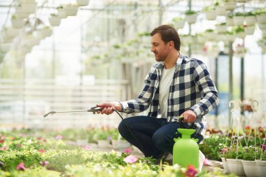 Çiçekleri suluyorum. Bahçe merkezinde çalışan çiçekçi adam. Başarılı çalışan parlak bir serada..