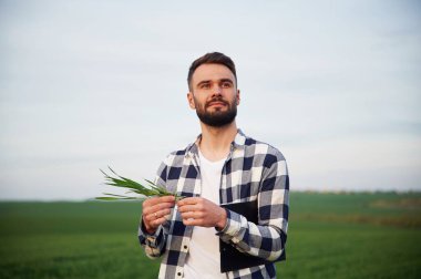 Gökyüzü açık. Yakışıklı genç adam tarım alanında..