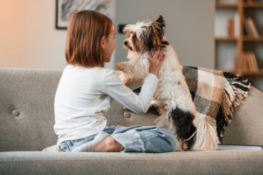 Kanepede oynuyorum. Küçük kız sevimli bir köpekle evde..