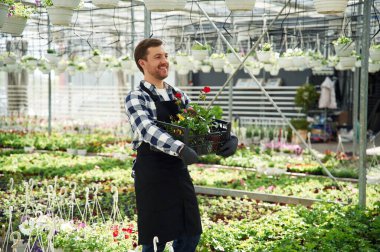 Siyah üniformalı, elinde çiçekler var. Adam bahçe merkezinde çalışıyor. Başarılı çalışan parlak bir serada..