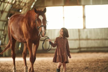 Hayvanı tutmak, birlikte yürümek. Şirin küçük kız atın içinde..