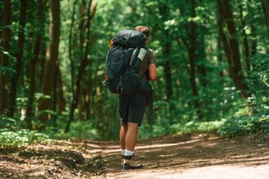 Ağaçların arasından güzel güneş ışığı. Yaz ormanında bir turist. Keşif ve eğlence kavramı.