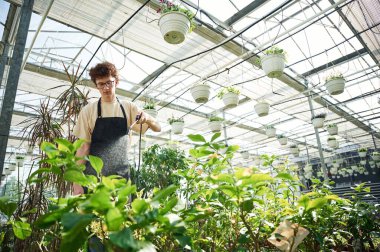 Günlük sulama. Kıvırcık saçlı ve gözlüklü genç adam serada..