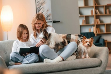 Kitabı okuyordum. Anne kızıyla ve iki sevimli köpekle evcil odada..