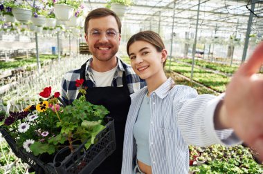 Selfie çekmek, gülümsemek. Çiçekçi adam ve kadın parlak serada birlikte çalışıyorlar..