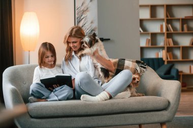 Kitabı okuyordum. Anne kızıyla ve iki sevimli köpekle evcil odada..