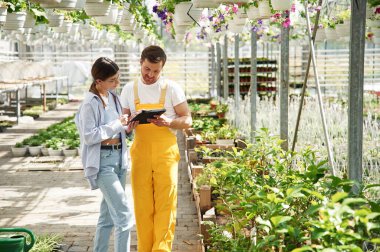 Dijital tablet kullanılıyor. Çiçekçi adam ve kadın parlak serada birlikte çalışıyorlar..