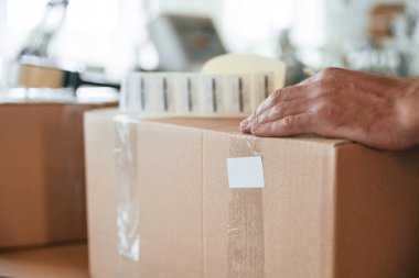 Ürünü paketleme işlemi. Yakışıklı adam ekolojik kutular üreten fabrikada çalışıyor..