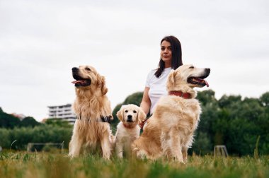 Ön manzara. Güzel köpekli bir kadın açık arazide..