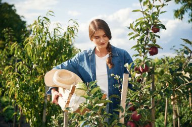 Gündüz çalışıyorum. Güzel genç bayan bahçeyle uğraşıyor..