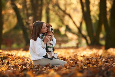 Oturmak, sakin olmak, dinlenmek. Kadın sonbahar ormanında sevimli köpeğiyle birlikte..